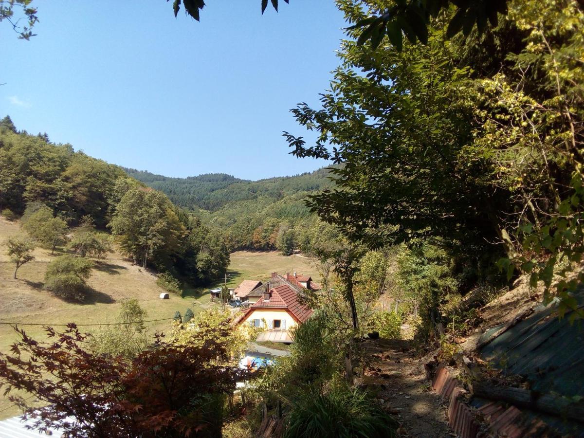 Hotel Abri De Jardin Amenage, Chambre Camping Glamour Lalaye Exterior foto